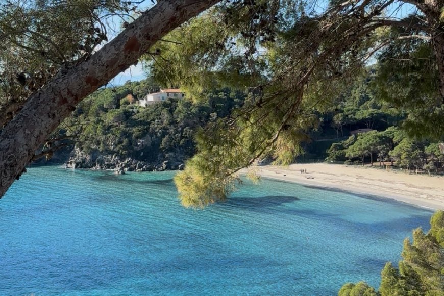 Il panorama sulla baia di Fetovaia